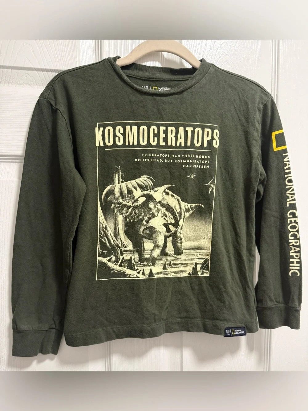 Gap Kids National Geographic Kids Olive Green Dinosaur Graphic Long Sleeve Tee